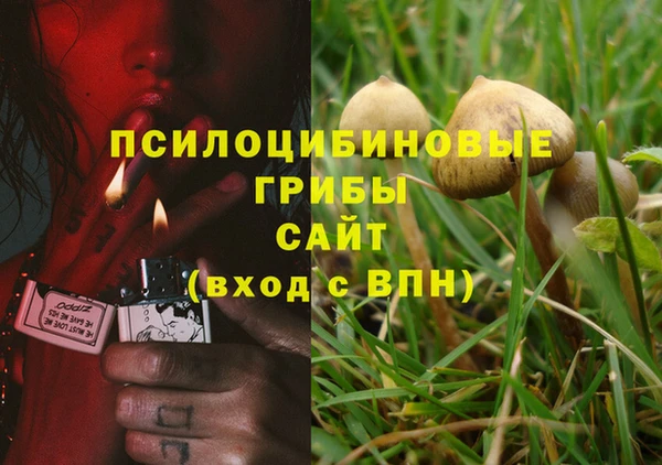 эйфоретик Вязники