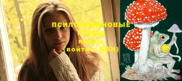 дмт Вязьма