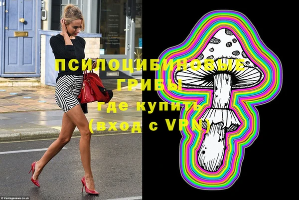 Альфа ПВП Вяземский